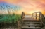 Picture of WALK INTO SUNRISE