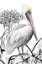 Picture of PELICAN ON BRANCH II