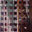 Picture of THE TRAPPED ILLUSION