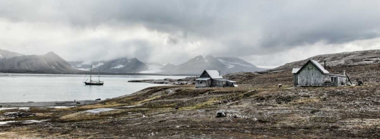 Picture of RAW AND DESERTED