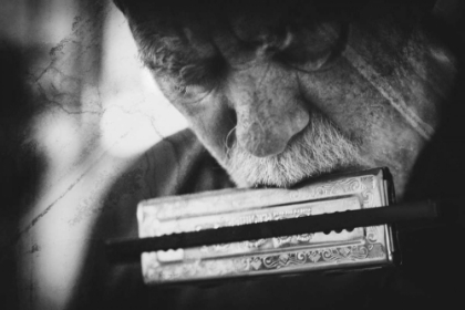 Picture of WOLF WITH HARMONICA