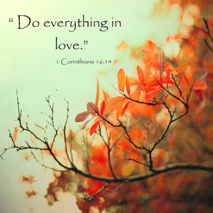 Picture of DO EVERYTHING IN LOVE
