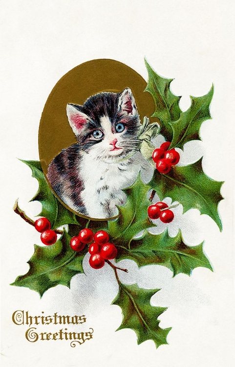 Picture of KITTEN WITH HOLLY