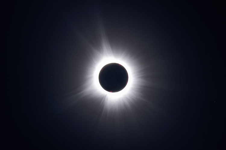 Picture of SOLAR ECLIPSE CORONA
