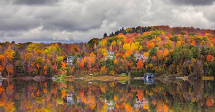 Picture of AUTUMN REFLECTION GATINEAU HILLS