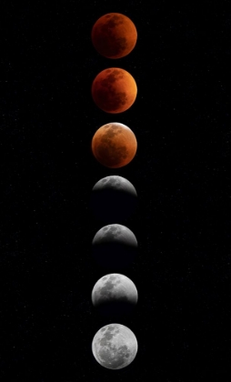 Picture of SUPER FLOWER BLOOD MOON