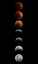 Picture of SUPER FLOWER BLOOD MOON