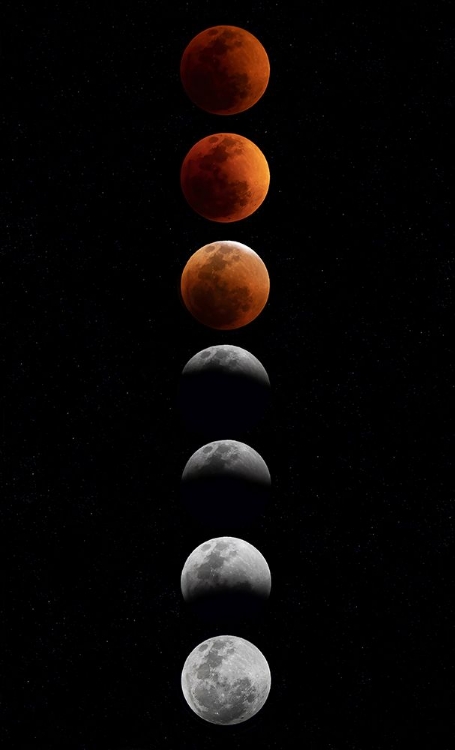 Picture of SUPER FLOWER BLOOD MOON