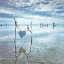 Picture of HEART TIED UP ON WOODEN STICKS AT THE BEACH