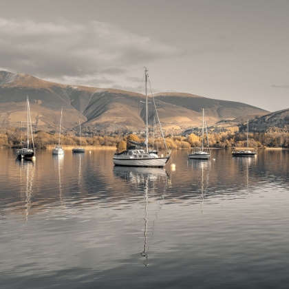 Picture of SAILING BOATS AT DERWENTWATER