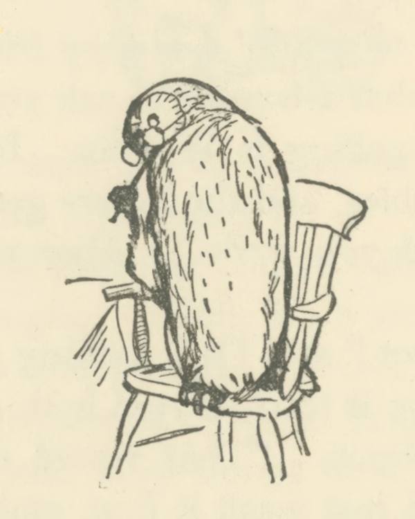 Picture of WINNIE-THE-POOH 1926 - HAPPY BIRTHDAY SAID OWL