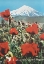 Picture of IRAN MID CENTURY VINTAGE AIR TRAVEL POSTER