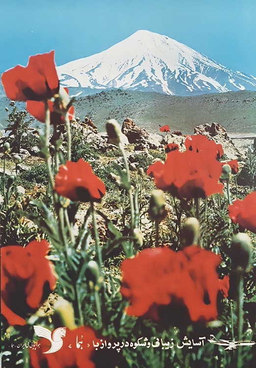 Picture of IRAN MID CENTURY VINTAGE AIR TRAVEL POSTER