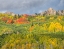 Picture of USA-COLORADO-KEBLER PASS BRIGHT COLOR OF AUTUMN ON KEBLER PASS