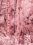 Picture of USA-COLORADO INFRARED OF AUTUMN ASPENS