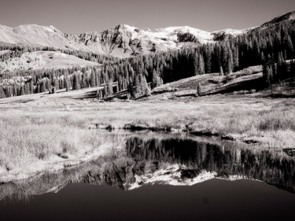 Picture of USA-COLORADO INFRARED OF ASPEN TREES REFLECTING IN SMALL RIVER