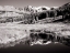 Picture of USA-COLORADO INFRARED OF ASPEN TREES REFLECTING IN SMALL RIVER