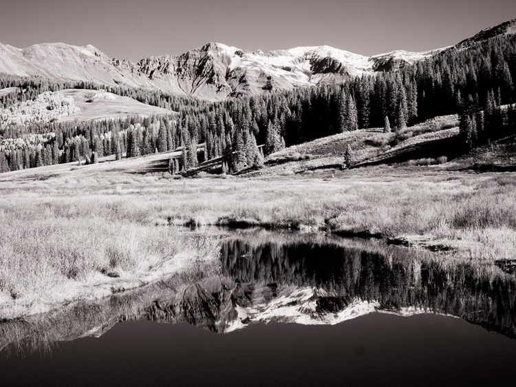 Picture of USA-COLORADO INFRARED OF ASPEN TREES REFLECTING IN SMALL RIVER