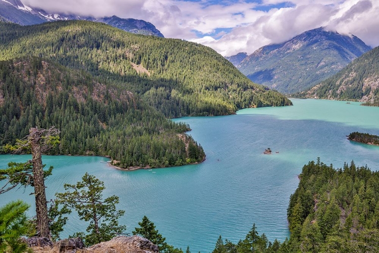 Picture of USA-WASHINGTON STATE-NORTH CASCADES NATIONAL PARK