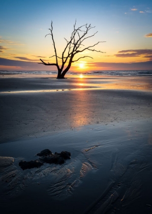 Picture of SUNRISE GLOW I