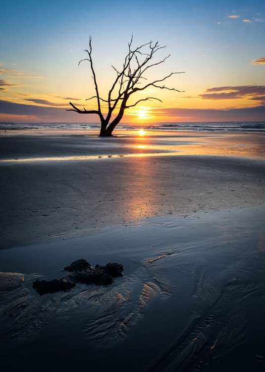 Picture of SUNRISE GLOW I
