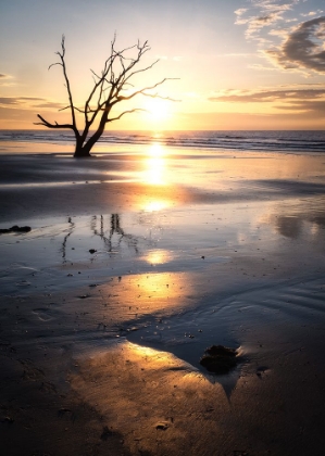 Picture of SUNRISE GLOW II