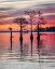 Picture of CYPRESS SUNRISE II