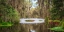 Picture of WHITE BRIDGE