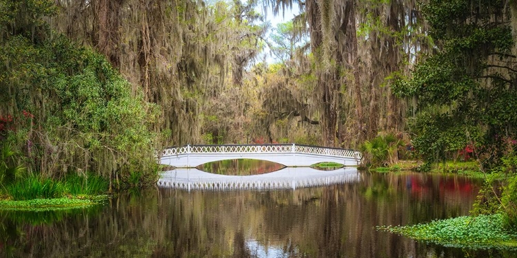 Picture of WHITE BRIDGE