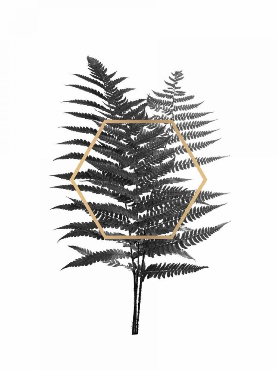 Picture of FERN LEAF WITH GOLD