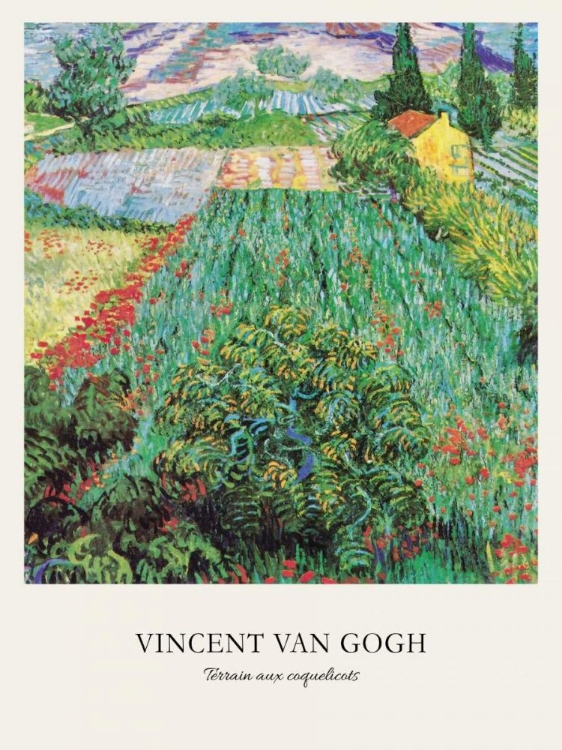 Picture of TERRAIN AUX COQUELICOTS