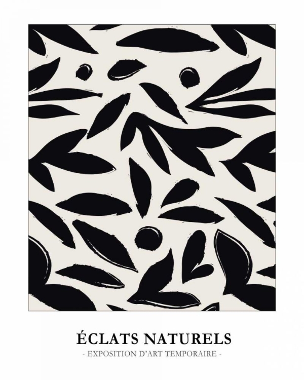 Picture of ECLATS NATURELS