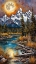 Picture of RIVER REFLECTION