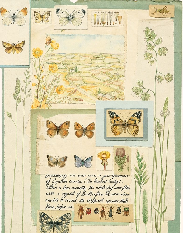 Picture of BUTTERFLY COLLAGE