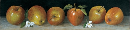 Picture of APPLE PANEL