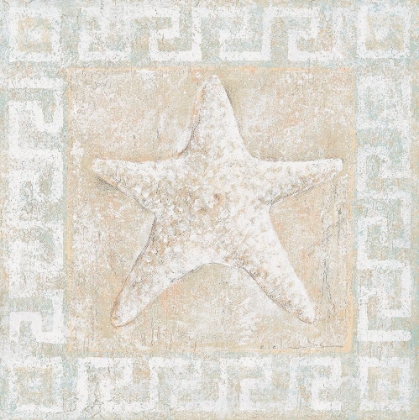 Picture of STARFISH