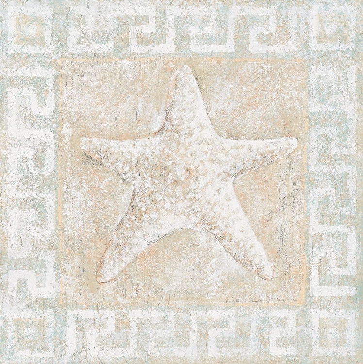 Picture of STARFISH