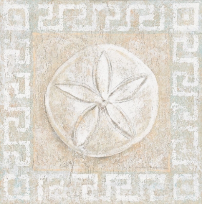 Picture of SAND DOLLAR