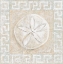 Picture of SAND DOLLAR