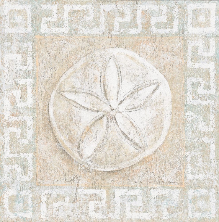 Picture of SAND DOLLAR