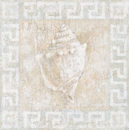 Picture of CONCH SHELL