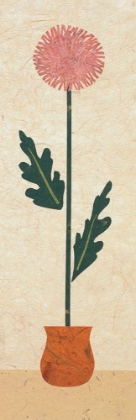 Picture of POTTED CHRYSANTHEMUM