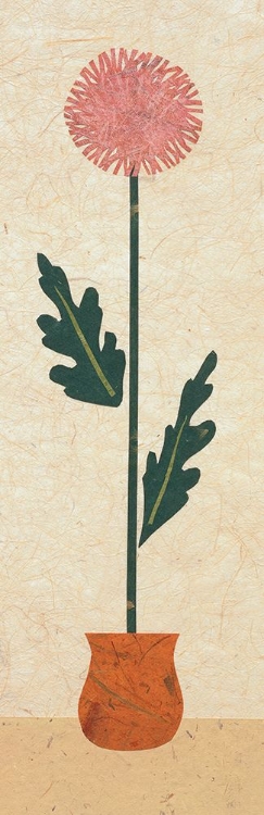 Picture of POTTED CHRYSANTHEMUM