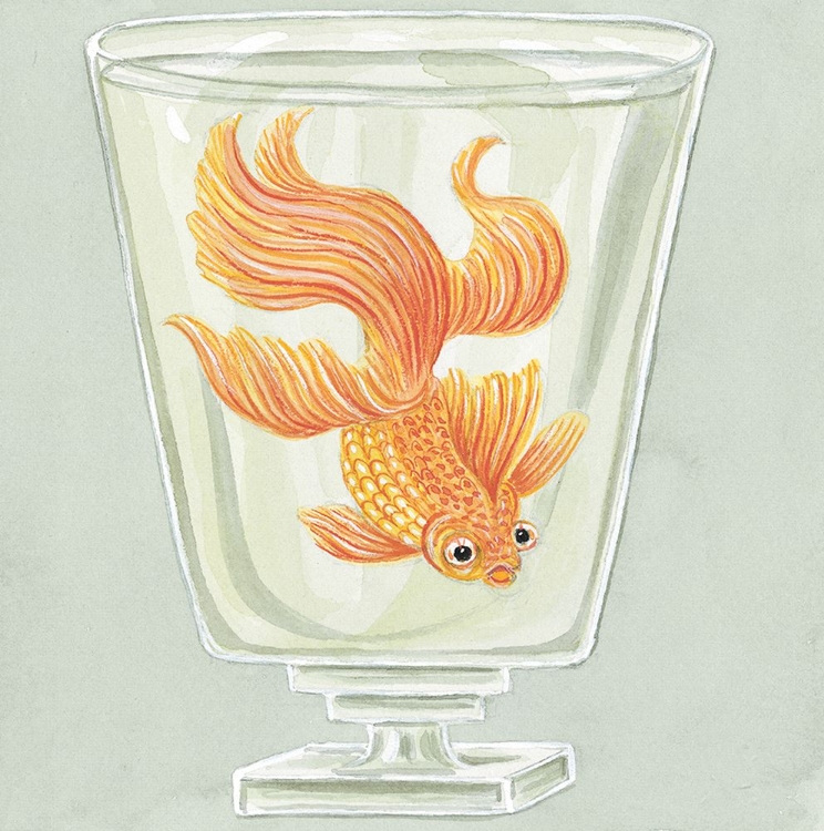 Picture of GOLDFISH III