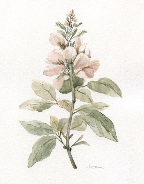 Picture of FLEA MARKET BOTANICAL I