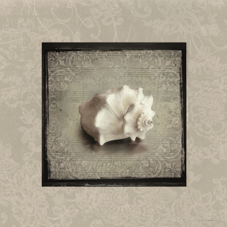 Picture of FANCY SHELL II