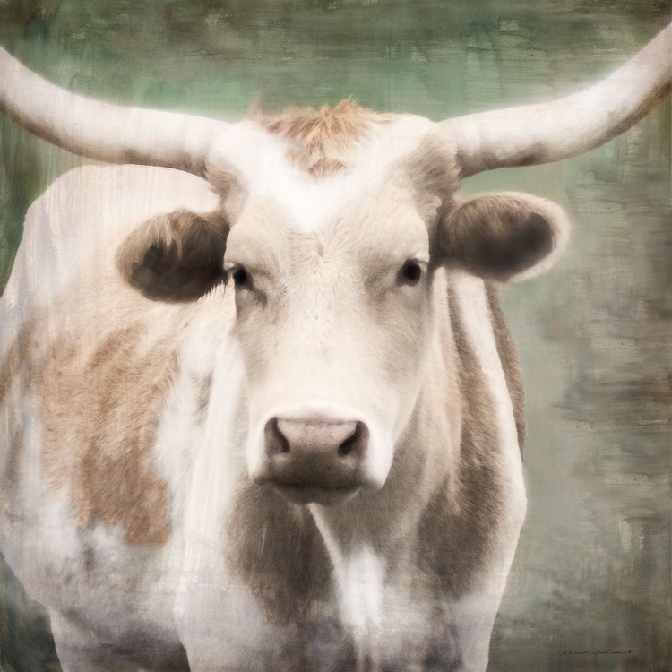 Picture of TAN LONGHORN