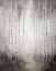 Picture of BIRCH TREES IN FOG II