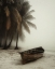 Picture of PALM IN MIST 1