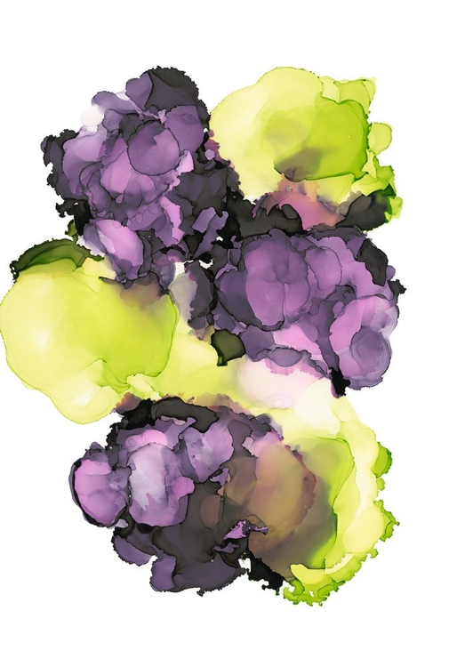 Picture of EGGPLANT CITRUS 1